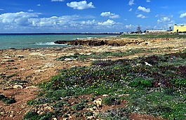 海,海岸,地中海