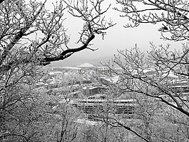 捷克共和國(guó)布爾諾,冬天,霜
