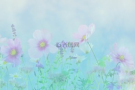 弗里施,夏季,邀請(qǐng)