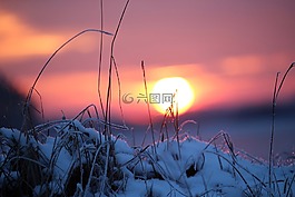 日落,雪,冬天