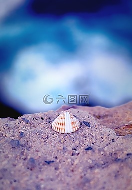 外殼,海,水