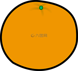 橙色,食品,水果
