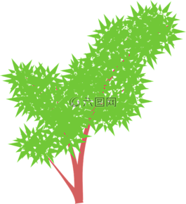 布什,雜草,植物