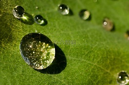 下降,水,綠色