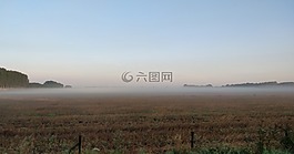 霧,牧場(chǎng),早上