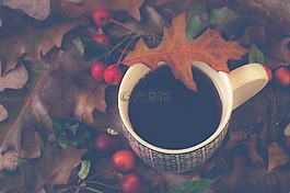 靜物,茶,秋季