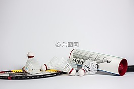 羽毛球,蝙蝠,球