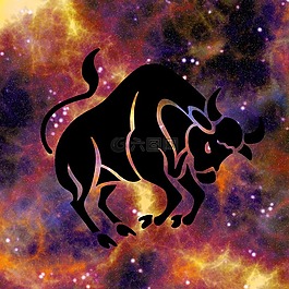 天干地支,星座,占星術