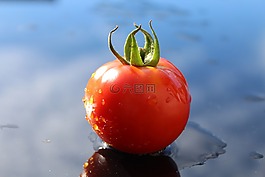 番茄,成熟,蔬菜