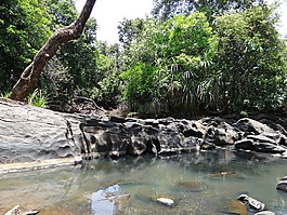 春,布魯克,水