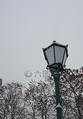 冬天,燈籠,雪