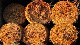 稻草包,秸稈,農(nóng)業(yè)