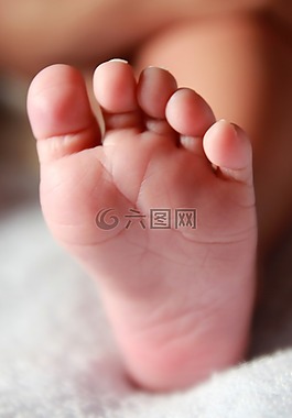 嬰兒腳,新生,腿