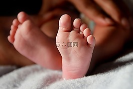 嬰兒的腳,新生,腿