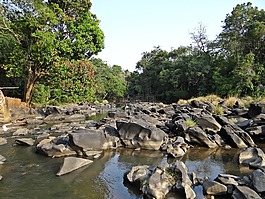 sahasralinga,石,雕塑