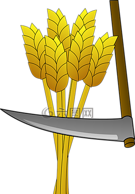 小麥,食品,農(nóng)場(chǎng)