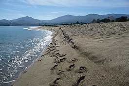 海灘,地中海,足跡