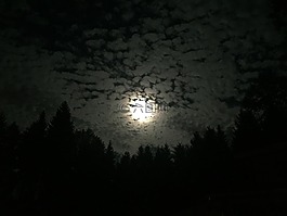 月球,夜,森林