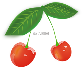 櫻桃,水果,紅色