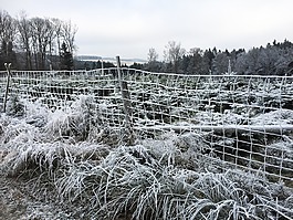 冬天,雪,性质