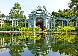 池,金魚(yú),水