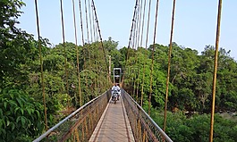 橋,掛,暫停