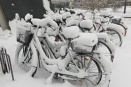 冬天,慕尼黑,自行車