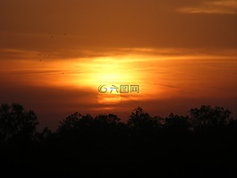 日落,景观,金色的夕阳