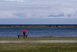秋天,海邊,維多利亞島