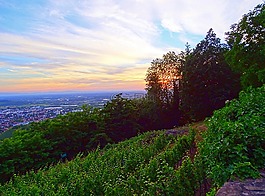 日落,景觀,余輝