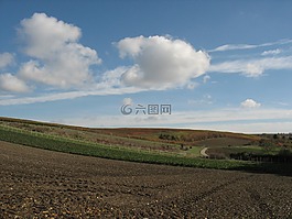 景觀,葡萄藤,葡萄園