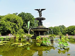源,公園,湖
