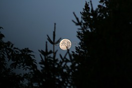 月球,夜,天空