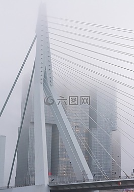 霧,橋,鹿特丹