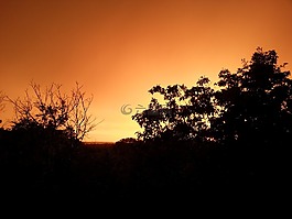 日落,夏季的天空,橙色