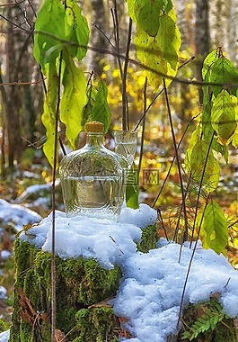 雪,靜物,秋季