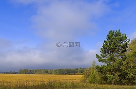秋季,字段,背景
