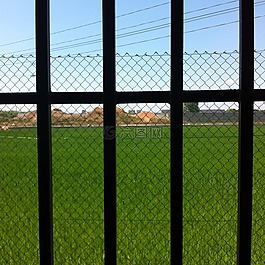 綠色,性質(zhì),草