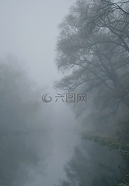 霧,河,樹木