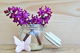 風(fēng)信子,花,開花