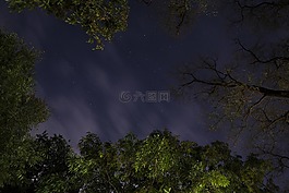 夜晚的天空,銀河,星星