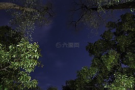 夜晚的天空,銀河,星星