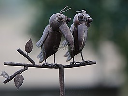 烏鴉,對,鳥