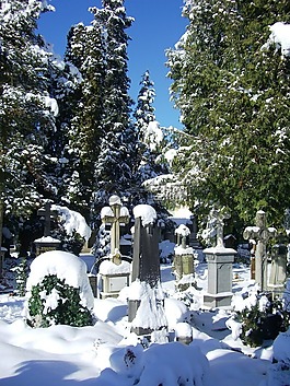 墓碑,雪帽,舊墳場