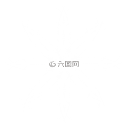 星級,星號,名人