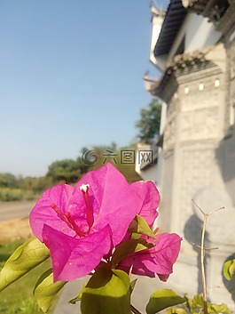 婺源水墨上河,展示中心,司億