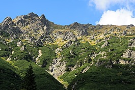 山,埋,冬奧會