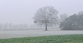 冬天,雪,冷