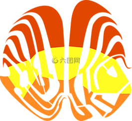 動物,魚,文蛤
