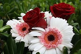 花的,花束,春